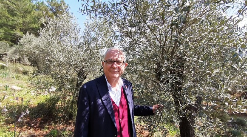 Zeybekoğlu: Zeytinyağı Üreticisini Mağdur Ediyorlar…