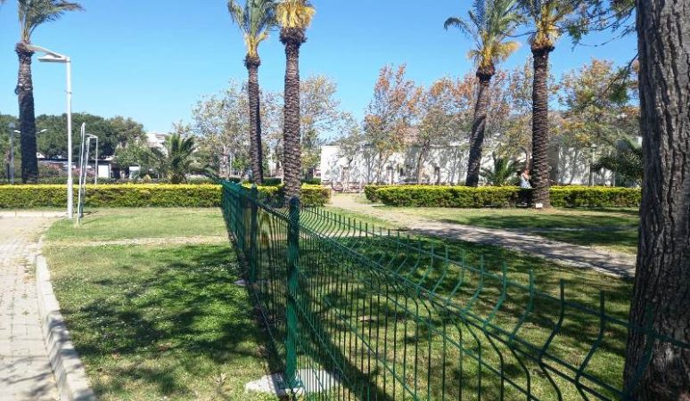 D- Marin’de Dikkat Çeken Çalışma..