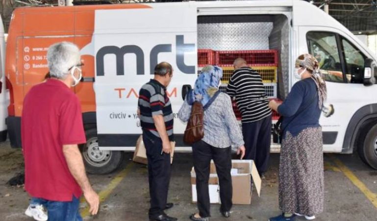 Yerli Tavuklar Bodrumlu Çiftçilere Dağıtıldı…
