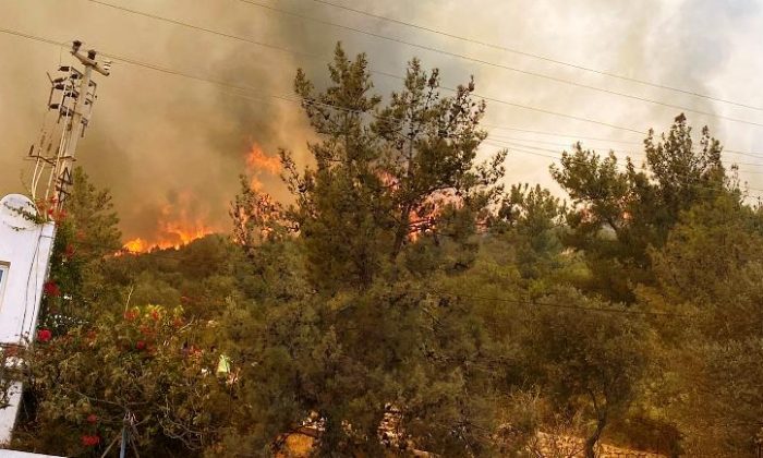 Bodrum’un Mazı ve Gökpınar Bölgesindeki Yangınlar Devam Ediyor…