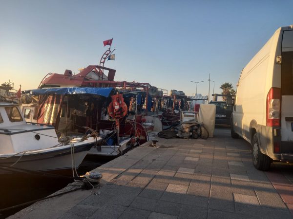 Deniz Patlıcanı Avcılığı Devam Ediyor