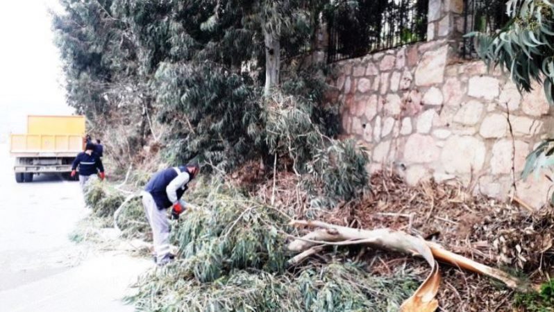 Fırtınada Zarar Gören Ağaçlara Müdahale Edildi