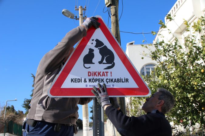 BODRUM BELEDİYESİ’NDEN CANLAR İÇİN TABELA