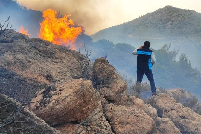 Aras’tan Yangın Söndürme Uçağı Tepkisi