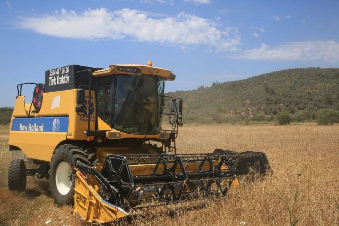 KARAOVA’DA HASAT VAKTİ