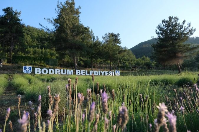 3. DÖNEM GARAOVA GENÇLİK VE TARIM KAMPI AÇILIŞI