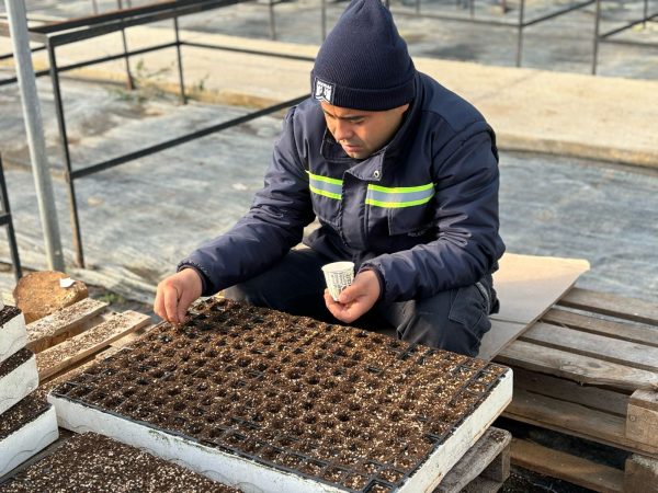 Yazlık Fideler İçin Üretim Devam Ediyor
