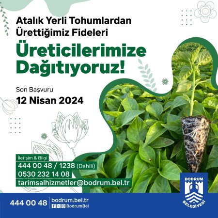 Fide Dağıtımı için Son Başvuru 12 Nisan